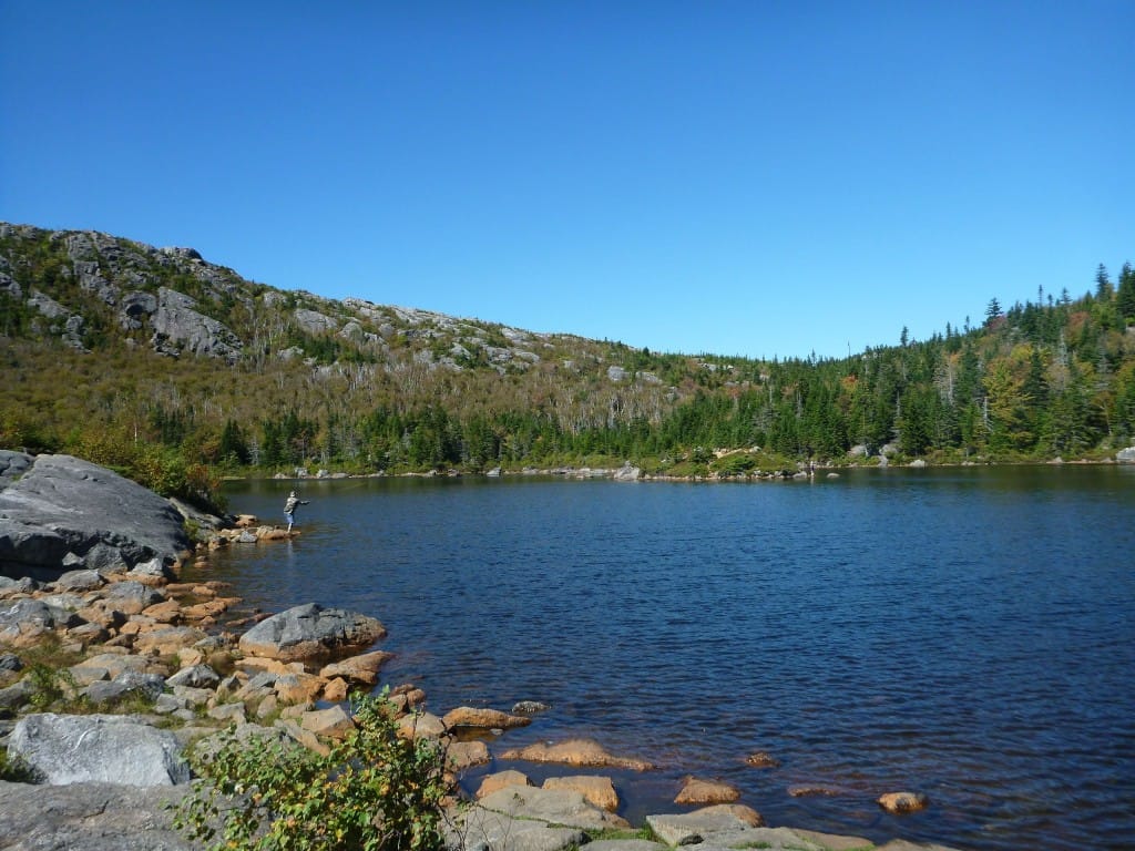 Tumbledown Pond