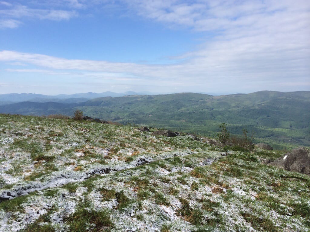 Expansive View