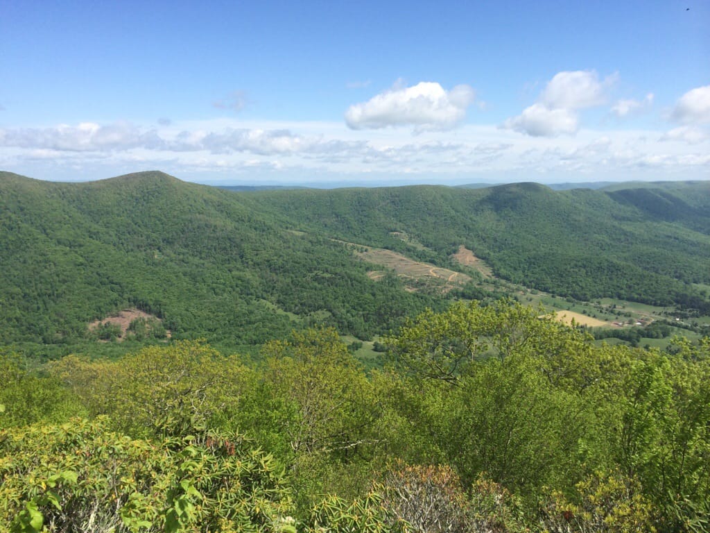 Clear View