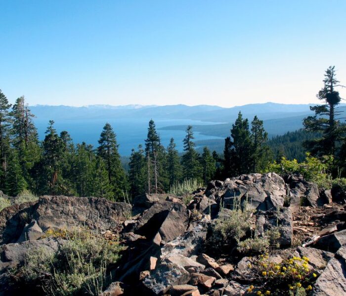 A glimpse of Lake Tahoe in the distance from the Tahoe Rim Trail.