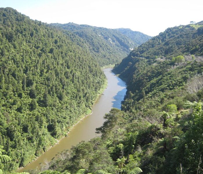 te-araroa-TA15_Whanganui-River-bw pipiriki and jerusalem