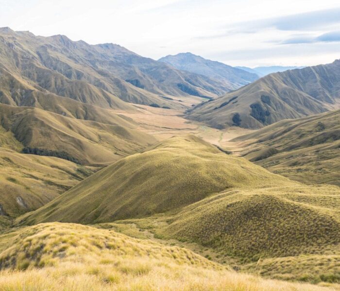 A landscape photo of lots of green hills and mountains along the Te Araroa
