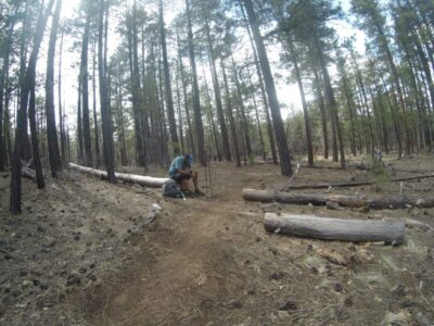 Legend resting on a log