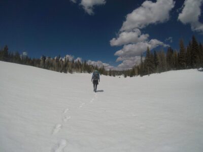 Legend walking in the snow
