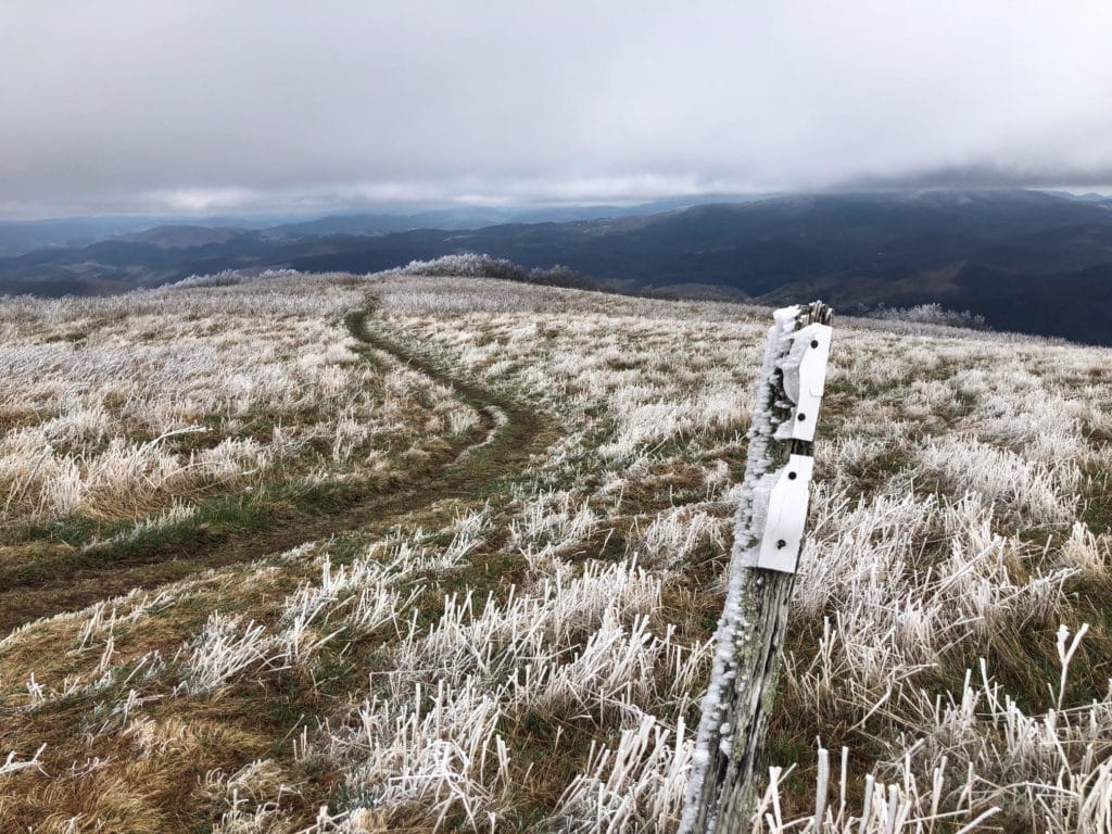 A view of a trail through dead grass on a hill along the Appalachian Trail