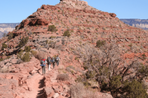Four hikers hiking uphill in the desert. Likely burning hundreds of calories an hour.