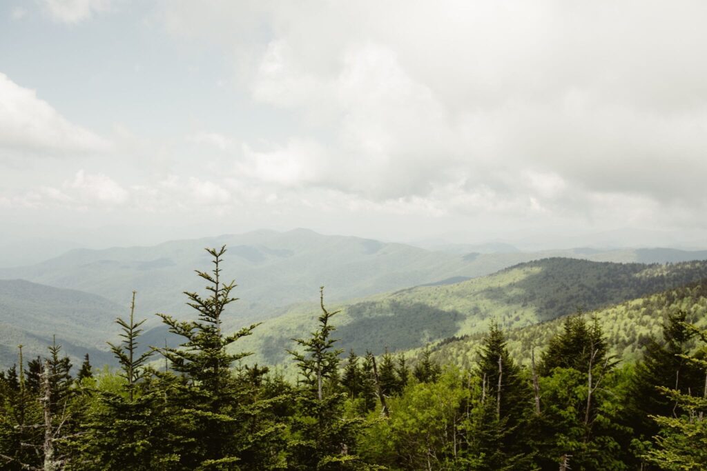 Clingmans Dome along the Appalachian Trail or AT