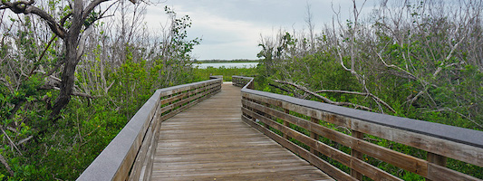 Wood bridge in Key West