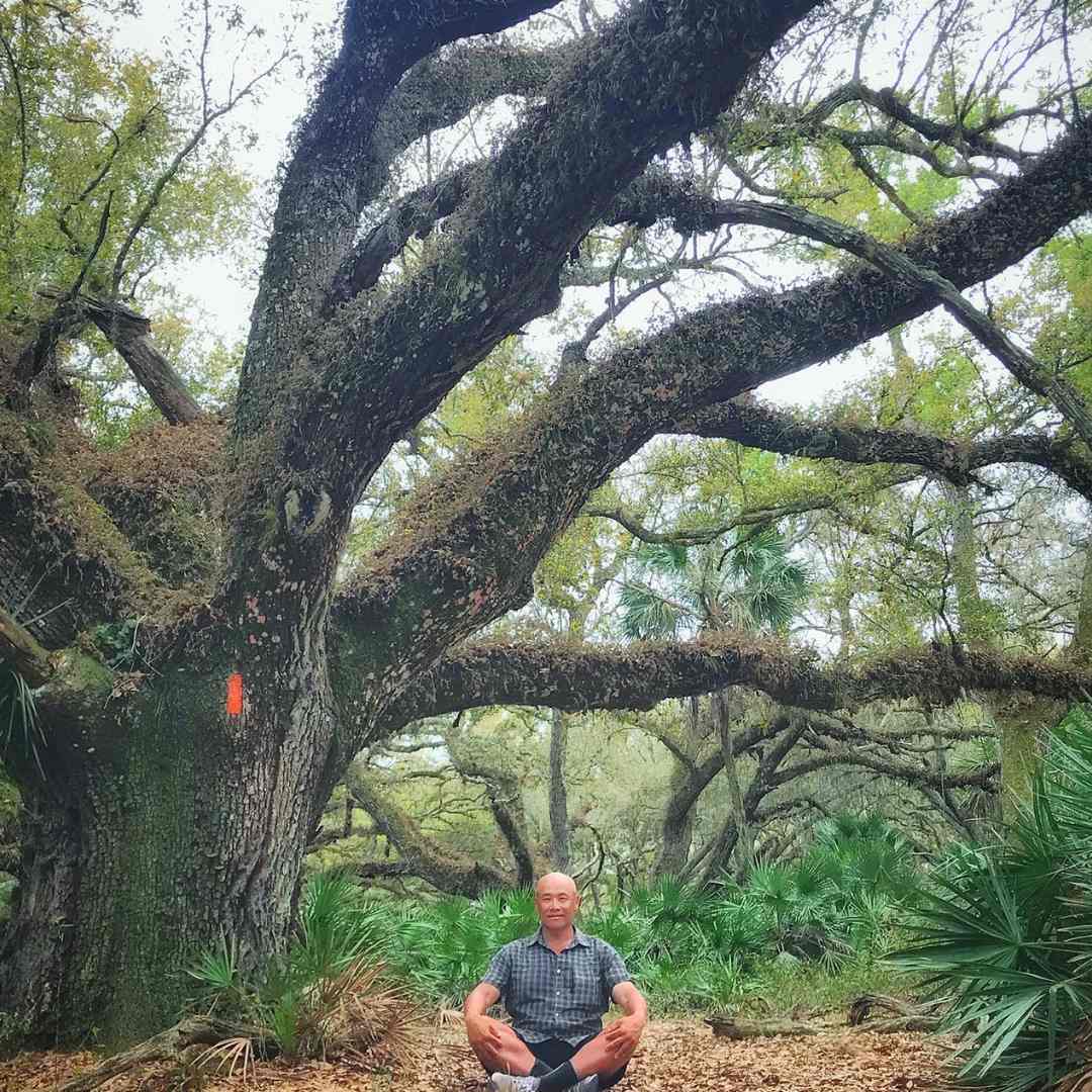Lil Buddha sitting under a tree