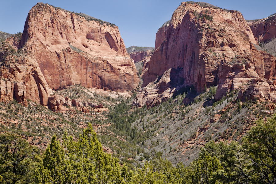 Taylor Creek Kolob Canyons