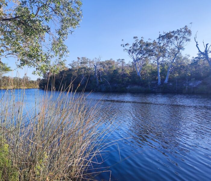 Cooloola_Great_Walk_1 a river on the Cooloola Great Walk