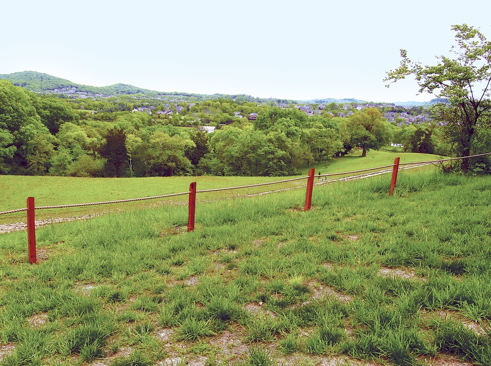 a grassy hillside in Nashville