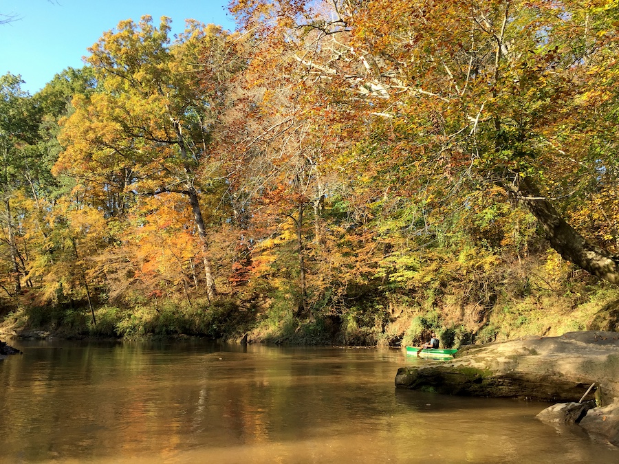 a kayaker along a bank of a river