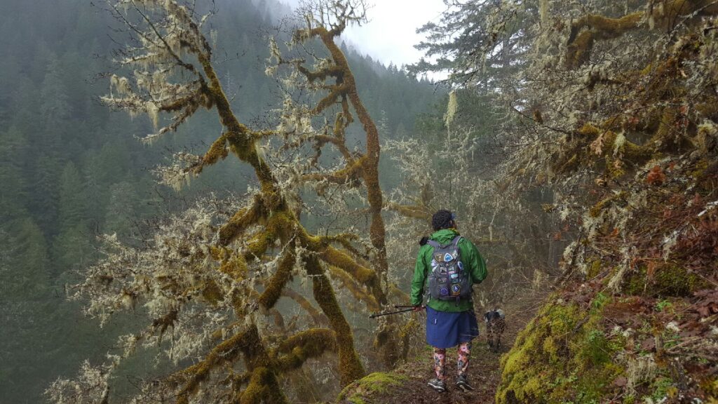a hiker standing along Herman Creek