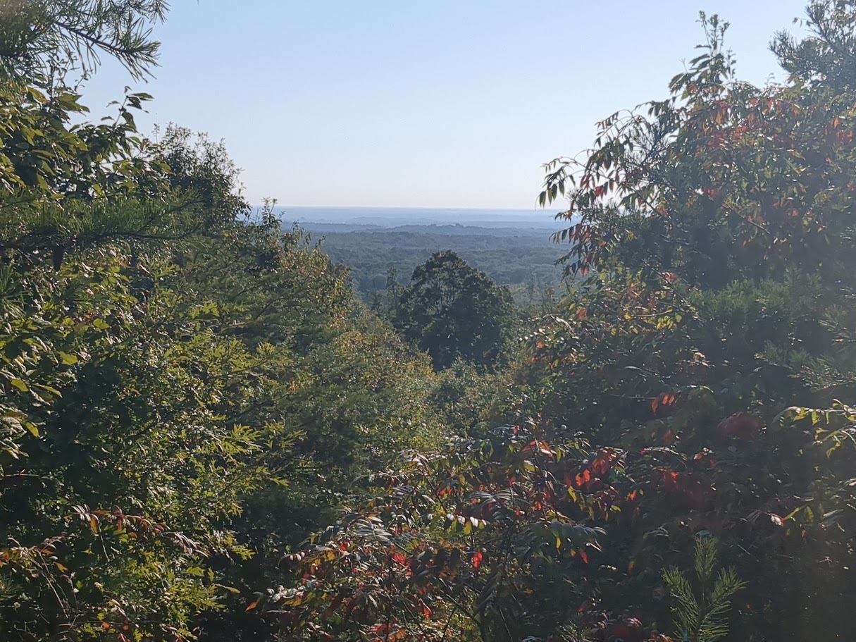 a view of trees on the Knobstone Hiking Trail