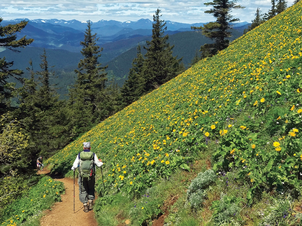 a hiker on a trail with a grassy hill covered in flowers