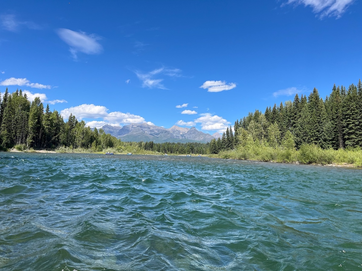 north fork of the flathead river with trees in the background