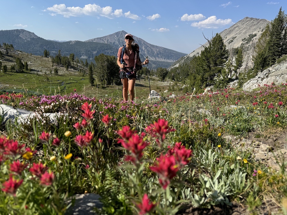 a hiker standing among flowers and mountains in the background