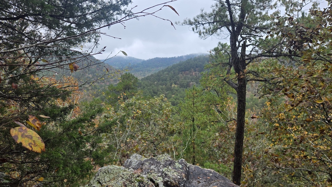 tree covered mountains on the Eagle Rock Loop