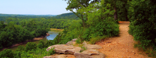a trail in 60 Hikes St. Louis