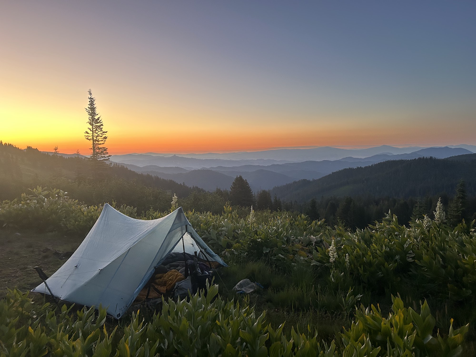 a tent on a grassy hill with a sunrise in the background