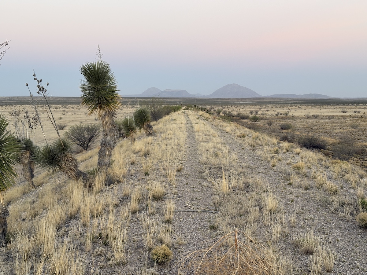 a desert path on the xTexas Trail