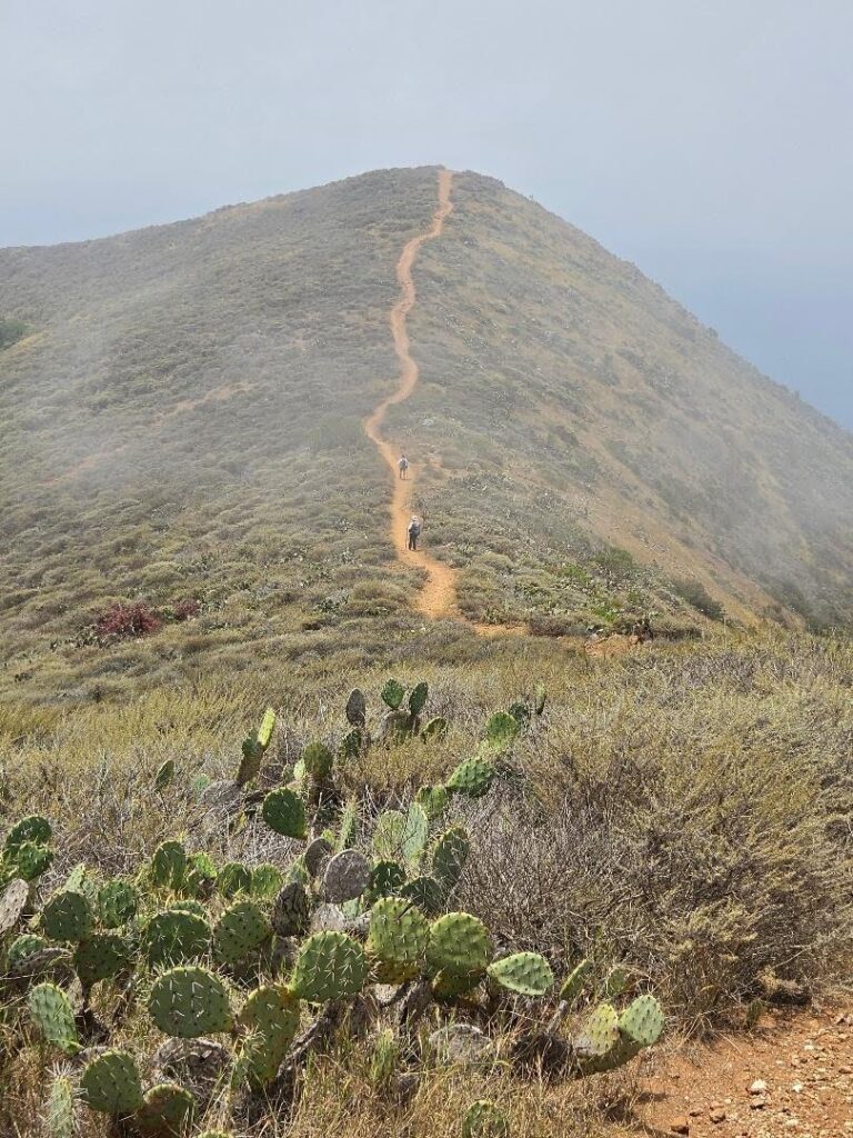 the Trans Catalina Trail on a mountain