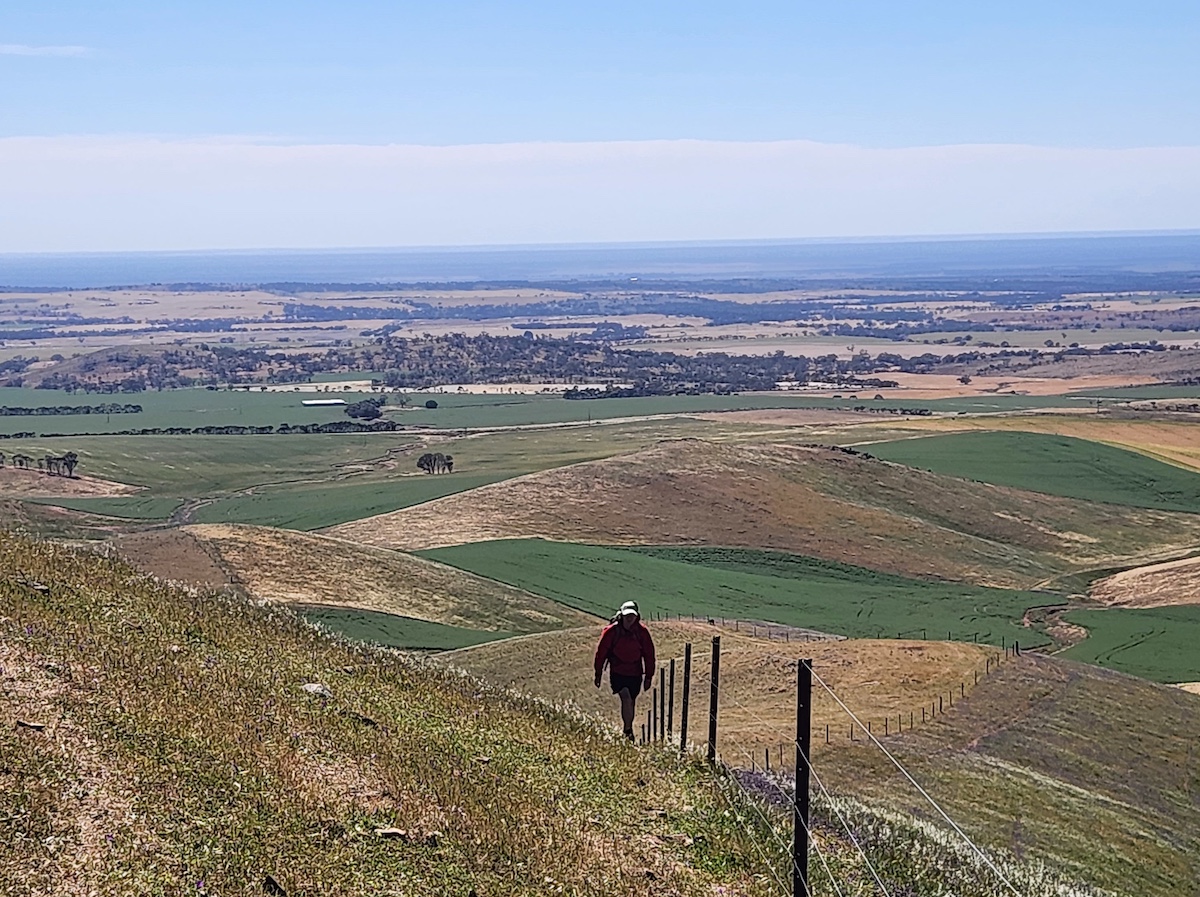 rolling hills and a hiker on the Lavender Federation Trail