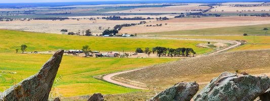 lavender federation trail