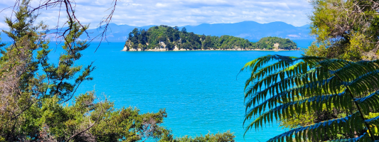the bright blue ocean with an island in new zealand