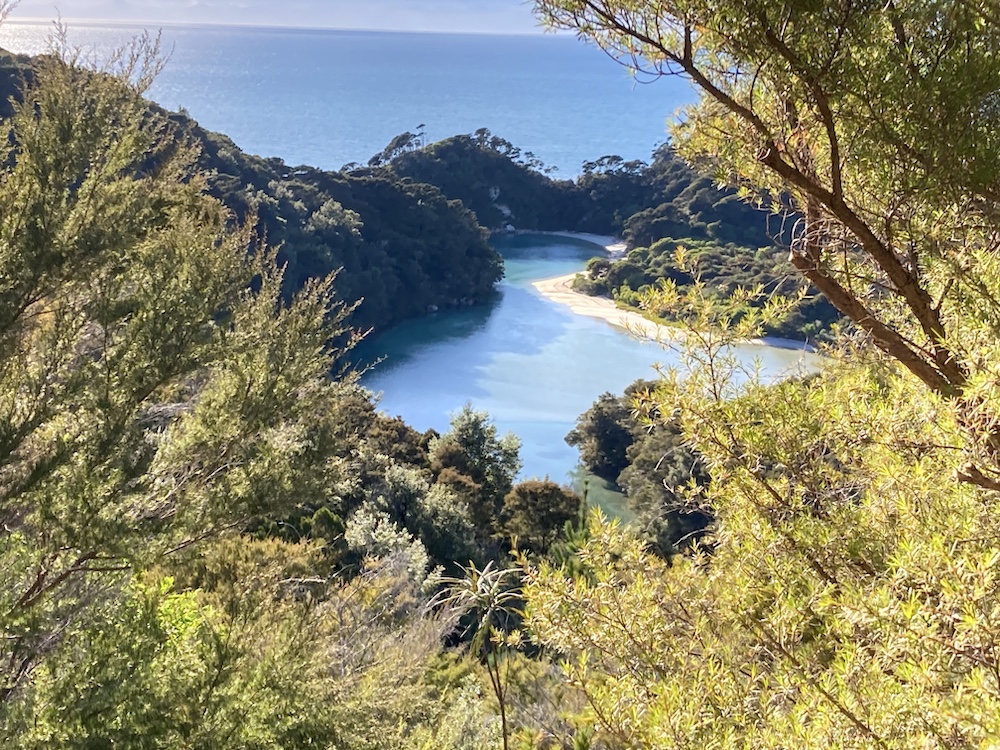 abel-tasman-coast-track-3 a view of the ocean below with lots of trees and bushes