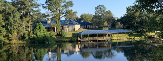 a swamp on the Bayou State Trail
